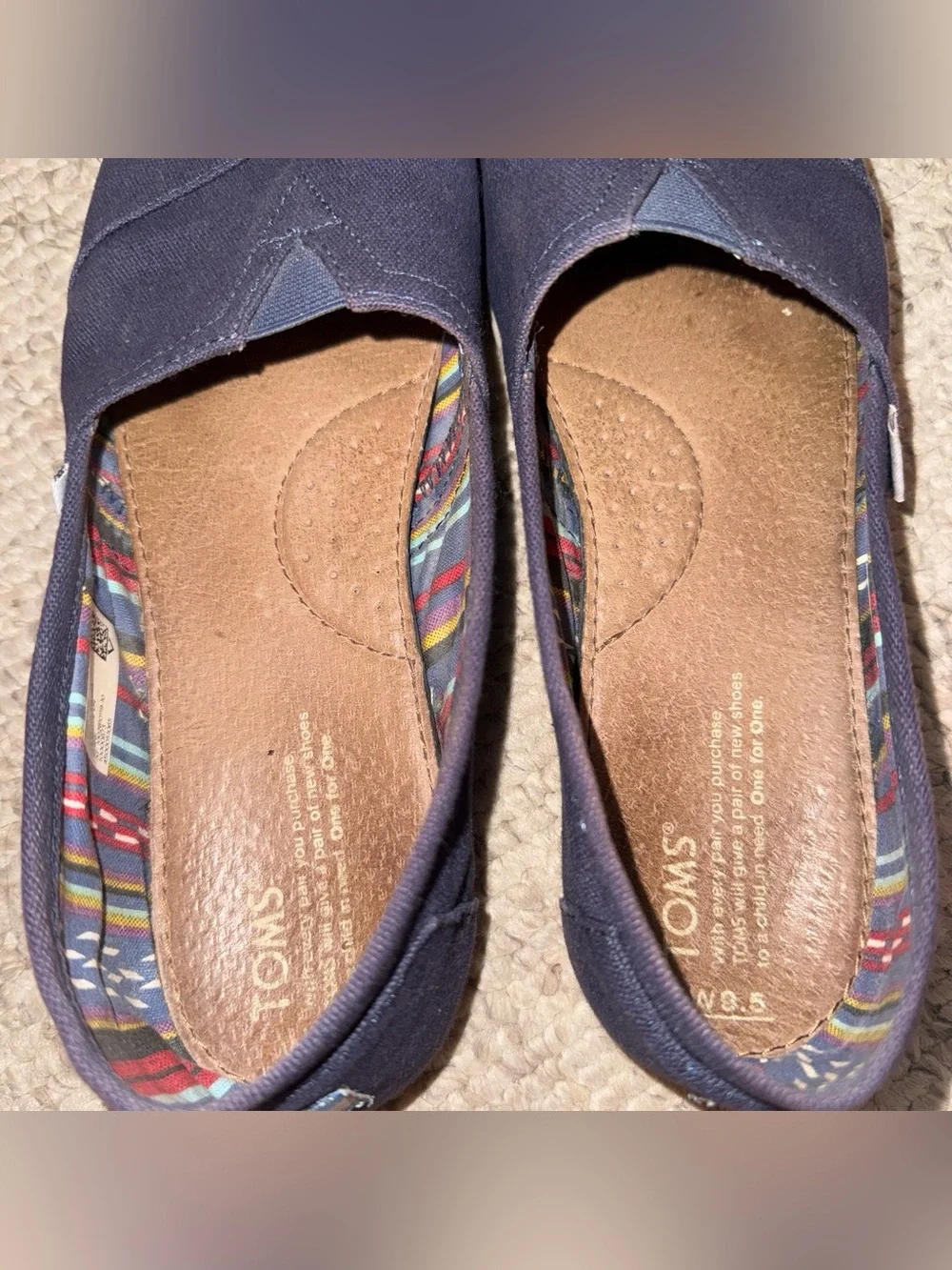 Toms Navy Canvas Slip-On with Multicolor Striped Lining